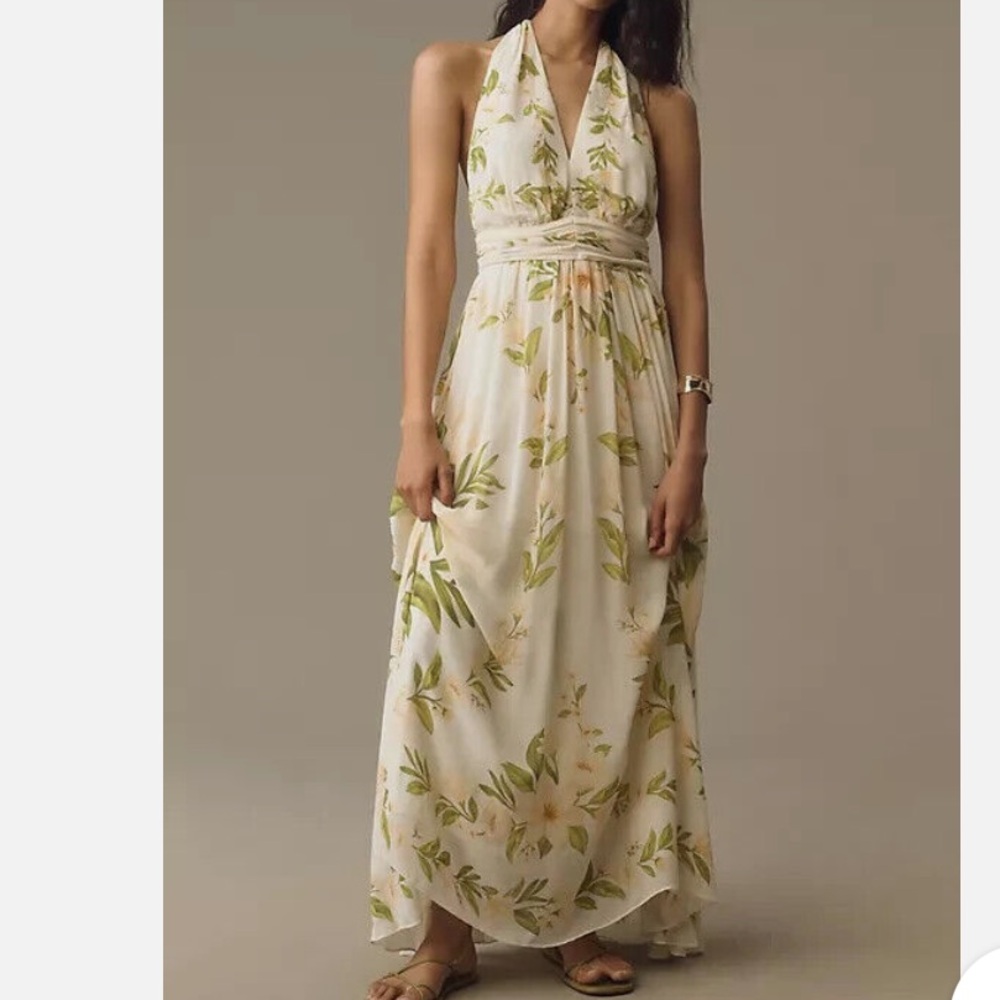 NWT Anthropologie Farm Rio V-Neck Floral Chiffon Maxi Halter Dress size L